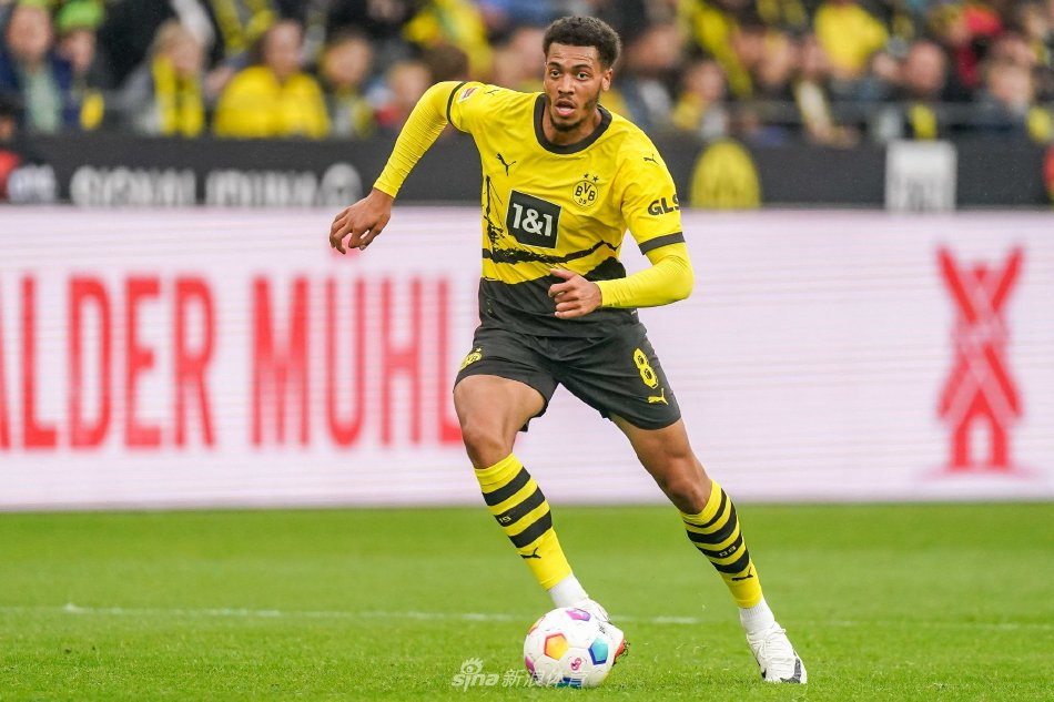 河南女排不 河南女排不